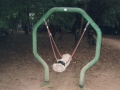 Schwinger01